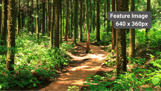 dollar-handle image 0