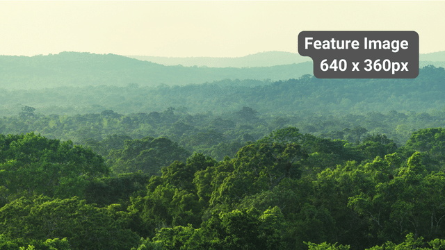 dollar-handle image 1