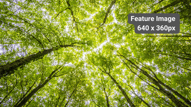 dollar-handle image 2